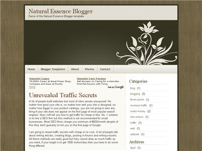 Natural Essence Blogger template thumbnail