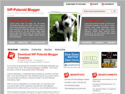 WP-Polaroid Blogger WordPress theme thumbnail