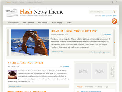 Flash News WordPress theme thumbnail