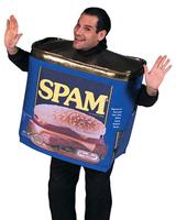 spam costume